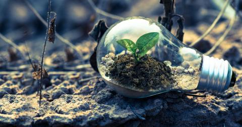 Sustainability - Image: 2